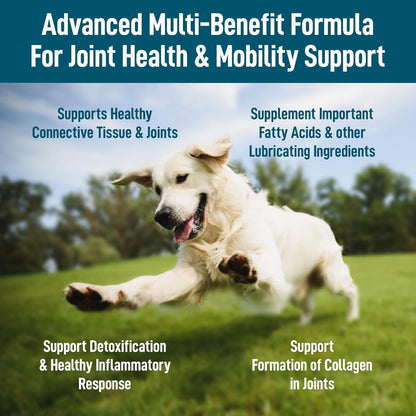 Saint Barkus Advanced Joint Health & Mobility Support